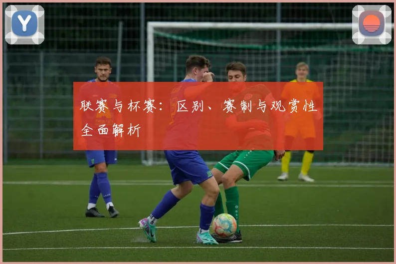 联赛与杯赛：区别、赛制与观赏性全面解析
